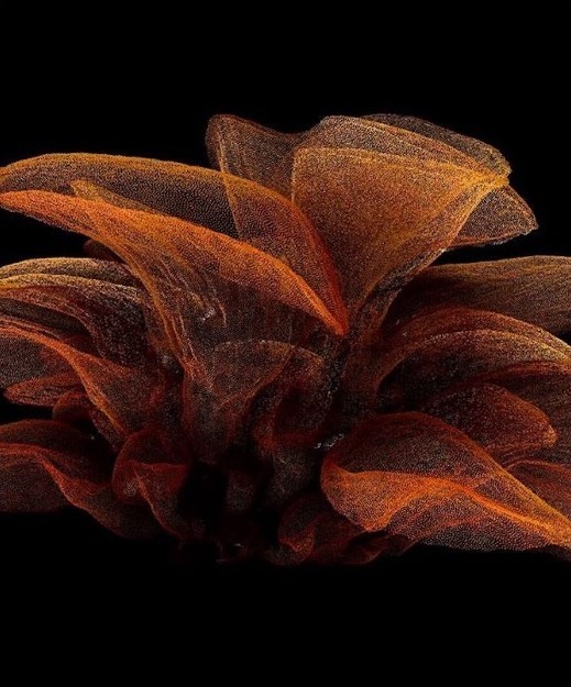 Kocourovy TOP 3 multimediální zážitky 2023