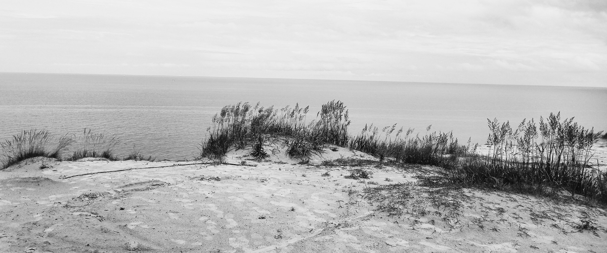 Kterak se chovati na pohřbu (když jste sjetí dopaminem)